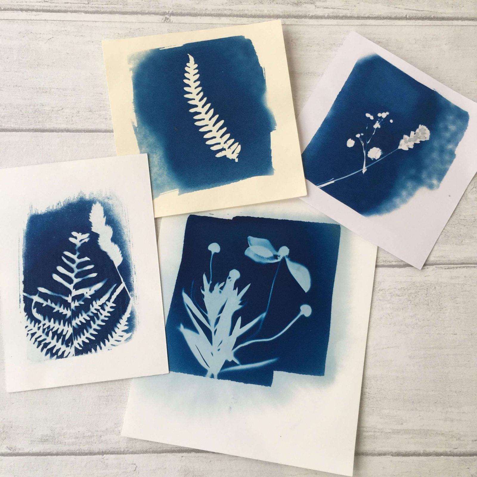 How To Create A Cyanotype How To Make Cyanotypes Top Tips For World 